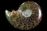 Polished, Agatized Ammonite (Cleoniceras) - Madagascar #97270-1